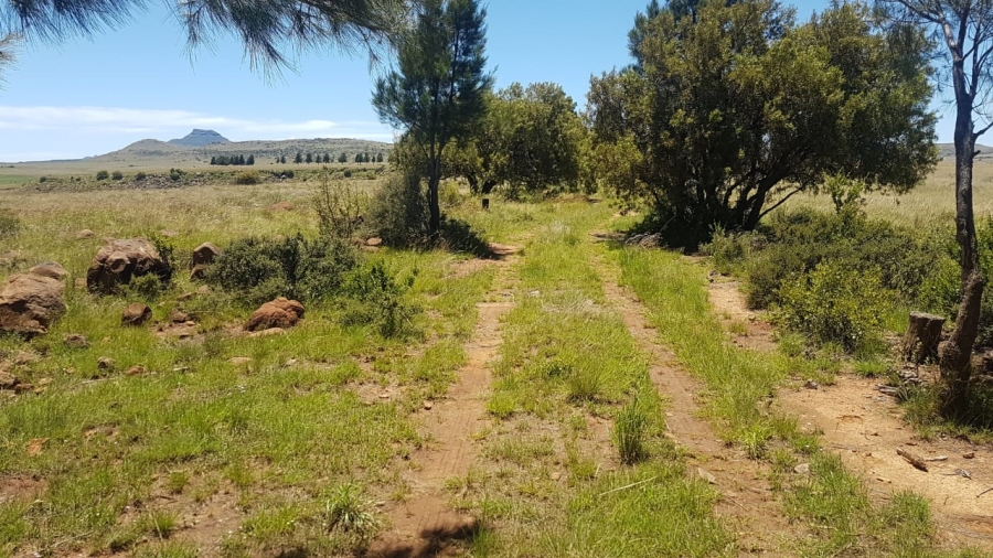 8 Bedroom Property for Sale in Tweespruit Free State